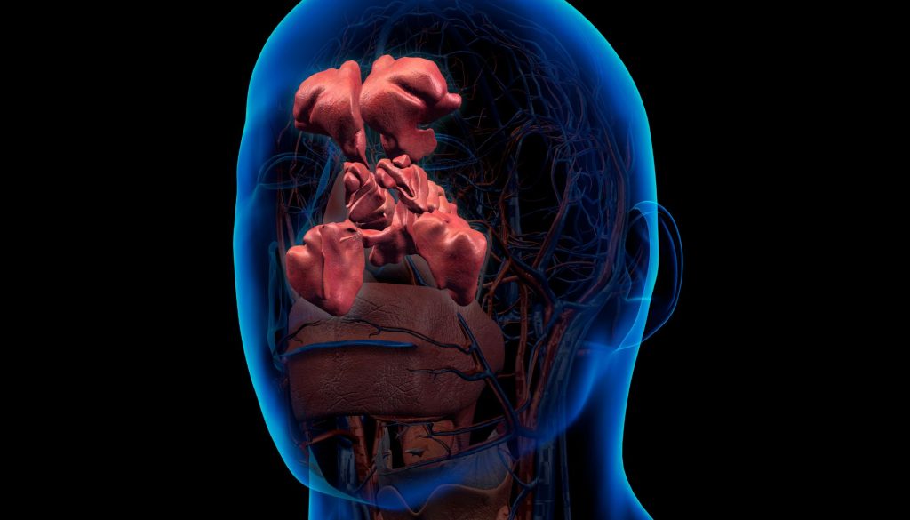 أمراض الأنف والأذن والحنجرة