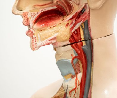 صحة الأنف والأذن والحنجرة