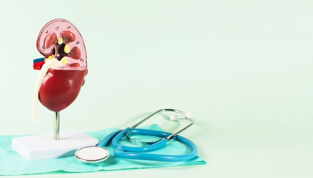 الكشف المبكر وعلاج الفشل الكلوي