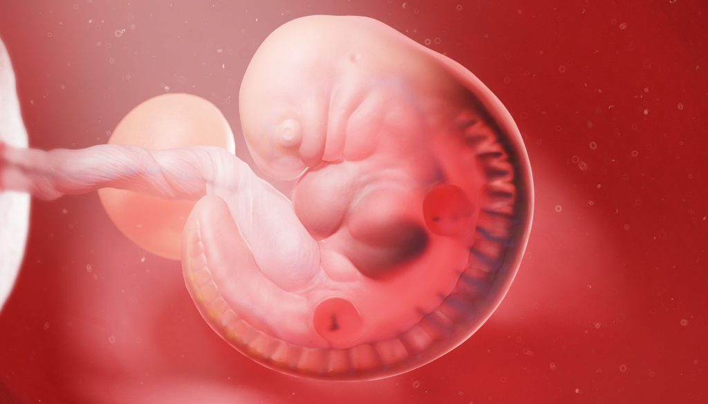 تحسين صحتك الانجابية