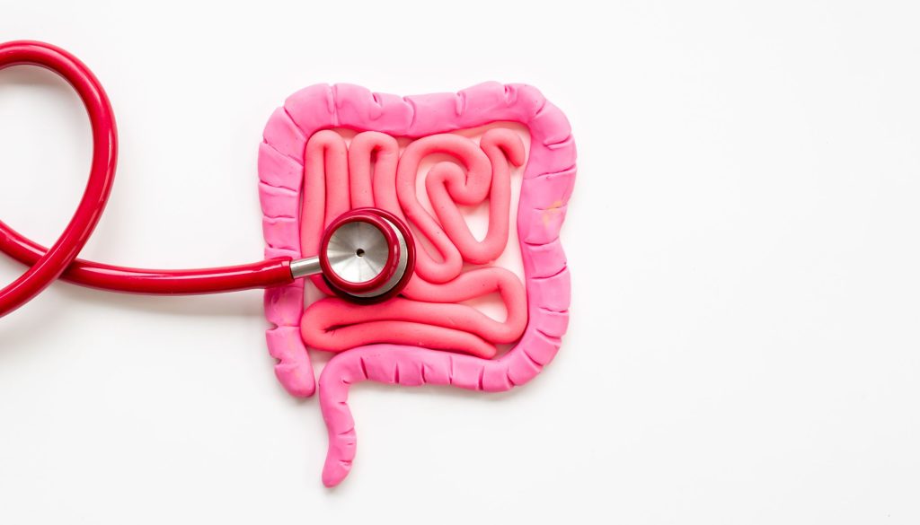 الأمعاء والقولون