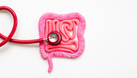 الأمعاء والقولون