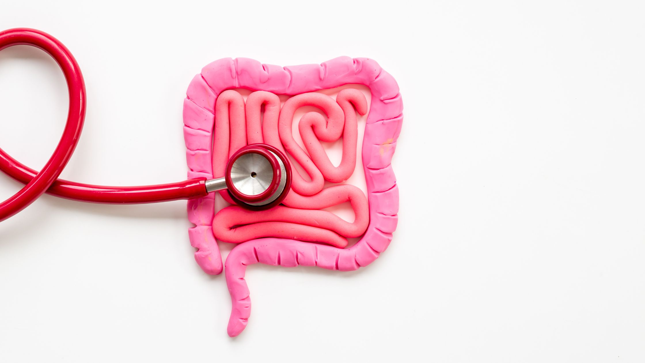 الأمعاء والقولون