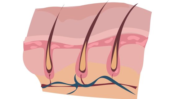 علاج مشاكل الشعر و البشرة